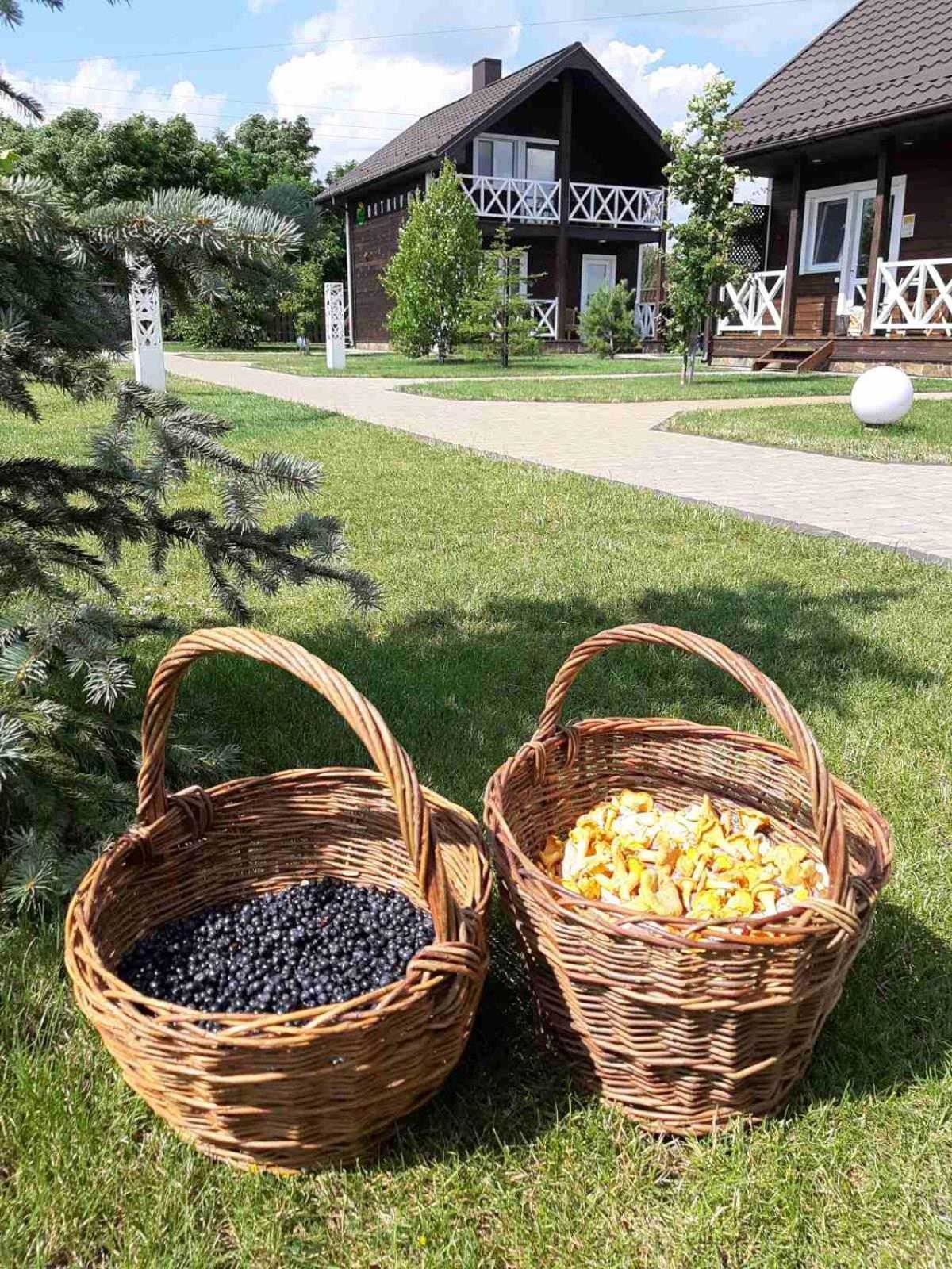 Ostrivky Hotel Svityaz' Buitenkant foto